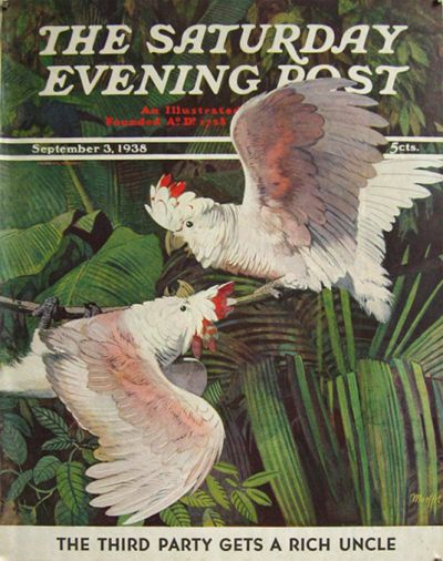 1938 Saturday Evening Post Cover ~ Moluccan Cockatoos