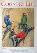 1928 Country Life Magazine Cover ~ Macaws, Karl Plath