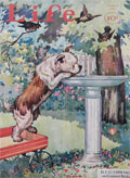 1931 Life (Humor) Magazine Cover ~ Edwina's SInbad Drinks From Birdbath