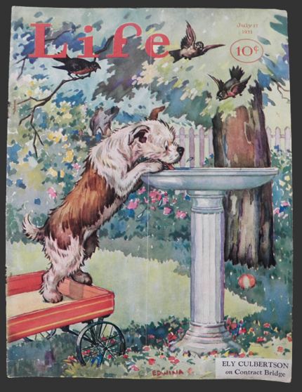 1931 Life (Humor) Magazine Cover ~ Edwina's SInbad Drinks From Birdbath
