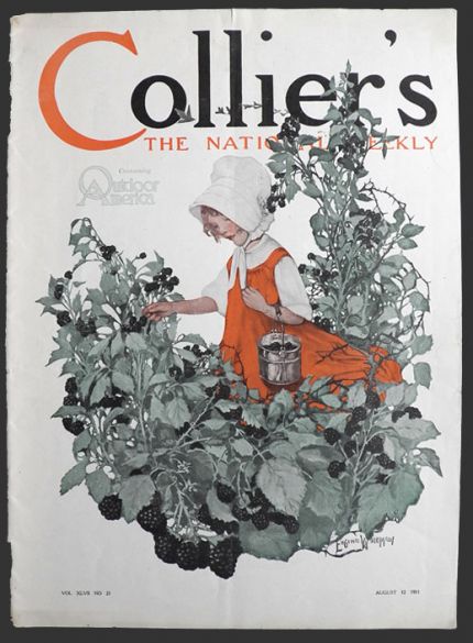 1911 Collier's Magazine Cover ~ Girl Picks Blackberries ~ Eugenie Wireman