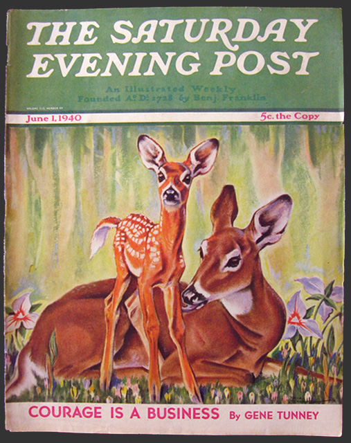 1940 Saturday Evening Post Cover ~ Paul Bransom Deer & Fawn