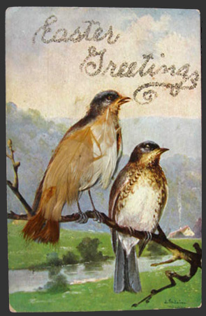 Easter Greetings Bird with Real Feathers Postcard