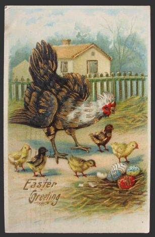 Easter Greeting Rooster with Chicks Postcard