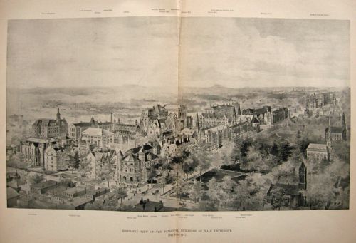 1894 Yale University, Birdseye View of New Buildings ~ Antique Print