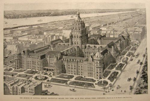 1897 Museum of Natural History New Courtyard ~ Print & Article