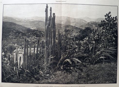 1886 Guanajuato, Mexico Antique Print Engraving