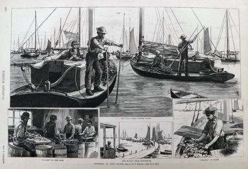 1886 Catching Oysters on Long Island ~ Antique Print