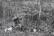 1886 Woodcock Shooting Hunting ~ Antique Print Engraving