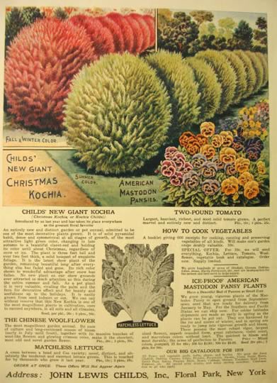 1919 John Lewis Childs Botanical Ad