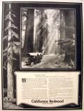 1919 California Redwood Ad ~ Old Vehicle Photo
