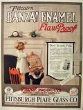 1921 Pitcairn Banzai Enamel Ad ~ Escape Parrot
