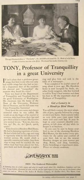 1929 Hendryx Bird Cage Ad ~ "The Gothic"