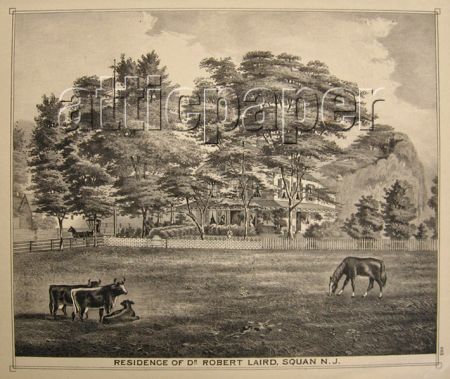 1878 Manasquan, NJ Antique Print ~ Dr. Robert Laird Residence