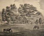 1878 Manasquan, NJ Antique Print ~ Dr. Robert Laird Residence