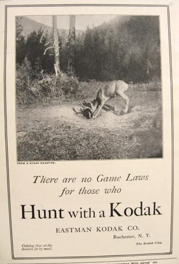 1907 Eastman Kodak Ad ~ Hunting ~ Hunt with A Kodak