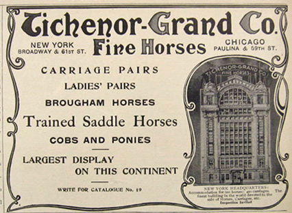 1907 Tichenor-Grand Co. Fine Horses Ad