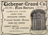 1907 Tichenor-Grand Co. Fine Horses Ad