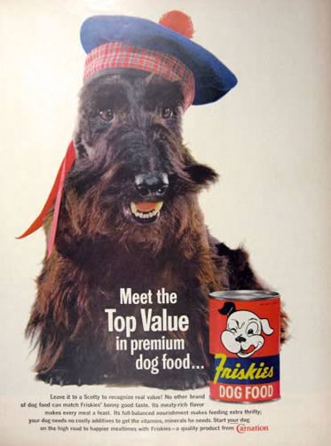 1961 Friskies Ad ~ Scottie Dog with Scottish Tam