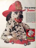 1962 Friskies Dog Food Ad ~ Dalmatian with Fireman's Hat
