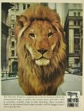 1964 Dreyfus Fund Ad ~ Lion Photo