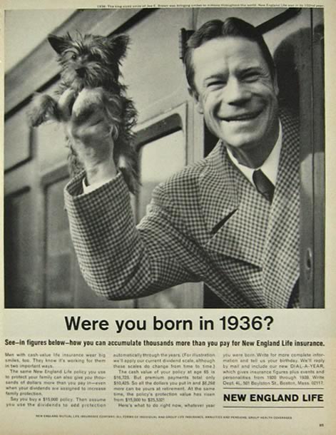 1964 New England Life Ad ~ Joe E. Brown Photo ~ Yorkie