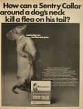 1967 Sentry Flea Collar Ad ~ Dachshund Photo