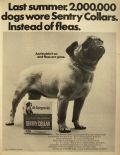1967 Sentry Flea Collar Ad ~ Pug Dog Photo