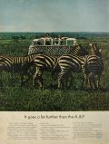 1967 VW Volkswagen Zebra Stripe Bus Ad ~ Tour Bus in Kenya