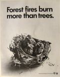 1971 Vintage Forest Fires Ad ~ Baby Birds in Nest