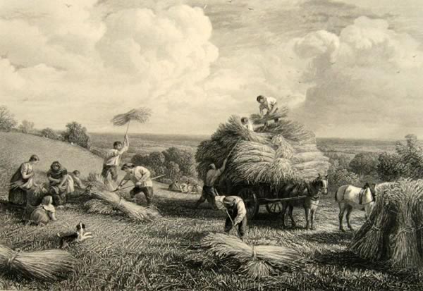 1865 Working in the Cornfields Antique Print