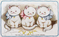 Grace Wiederseim Postcard ~ We Ain't Seen Your Birdie