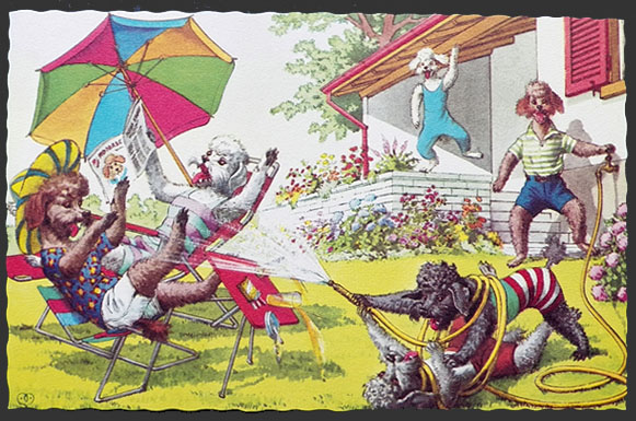 Alfred Mainzer Dressed Poodles Postcard ~ Hose Fight