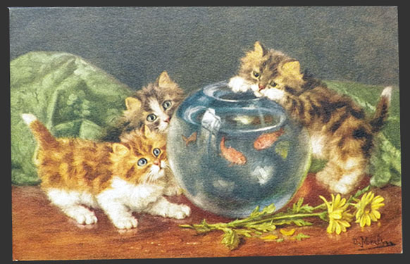 Kittens Investigate Fishbowl ~ Daniel Merlin Postcard