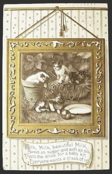 Milk, Beautiful Milk Cat Postcard