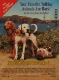 Homeward Bound II 1996 Vintage Movie Ad