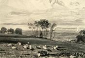 Pevensey Bay Antique Etching Print