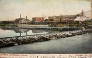 Waterloo, IA Postcard ~ Cedar River & Wholesale District