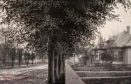Scene in Edinburgh, IN Indiana Postcard