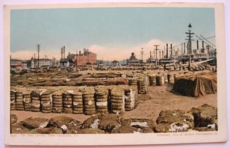 New Orleans Levee Vintage Postcard