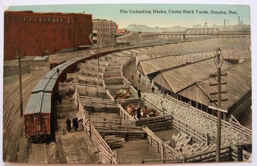 Omaha NE Vintage Postcard ~ Union Stock Yards