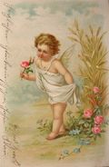 Young Angel with Roses Vintage Foreign Postcard