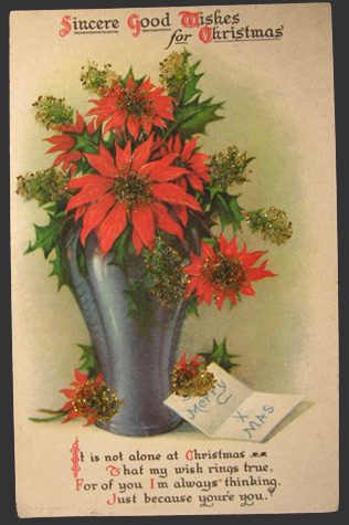 Vintage Christmas Postcard ~ Poinsettia