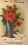 Vintage Christmas Postcard ~ Poinsettia