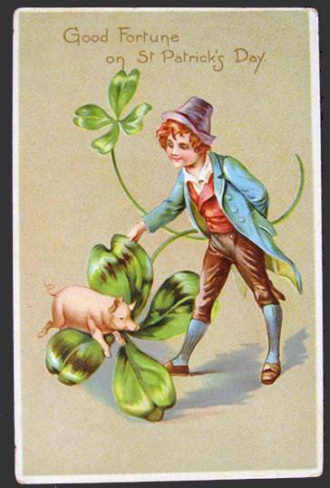 St. Patrick's Day Pig Over Clover Postcard