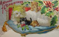 A Merry Christmas Postcard ~ Cats, Kittens