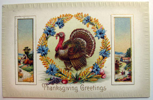 Thanksgiving Greetings Postcard