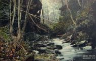 Wassaic, NY Postcard ~ Wolf Brook