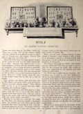 1918 Albert Payson Terhune ~ Wolf, Collie Story ~ Normal Rockwell Illustrations