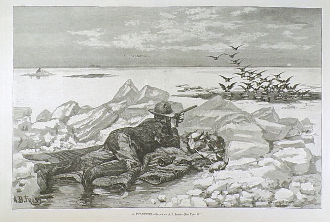 1884 Pot Hunter Game Birds Antique Print ~ A.B. Frost ~ Harper's Weekly
